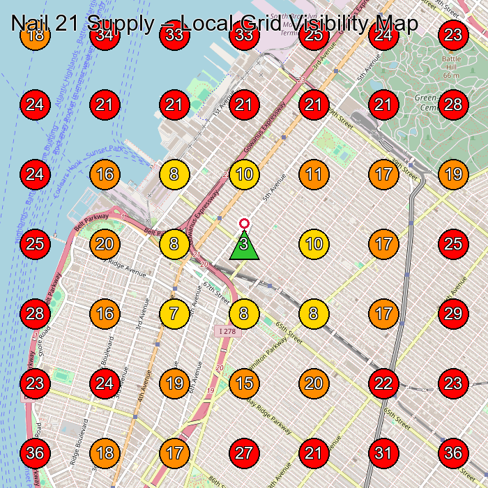 Nail 21 Supply GeoGrid visibility map for Beauty Supply Store in Brooklyn